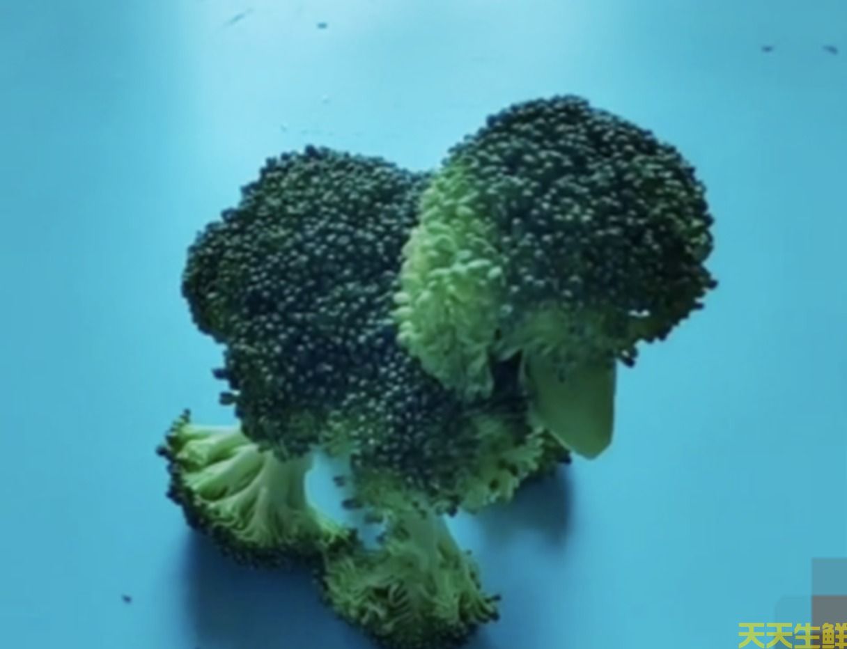 幼兒園蔬菜手工作業(yè)(圖2) 幼兒園蔬菜手工作業(yè)(圖2)