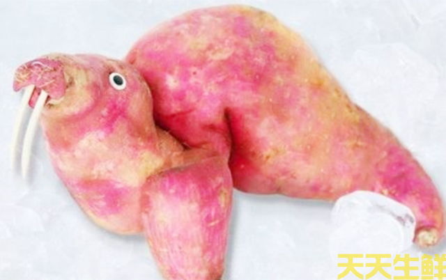 幼兒園蔬菜手工作業(yè)(圖4) 幼兒園蔬菜手工作業(yè)(圖4)