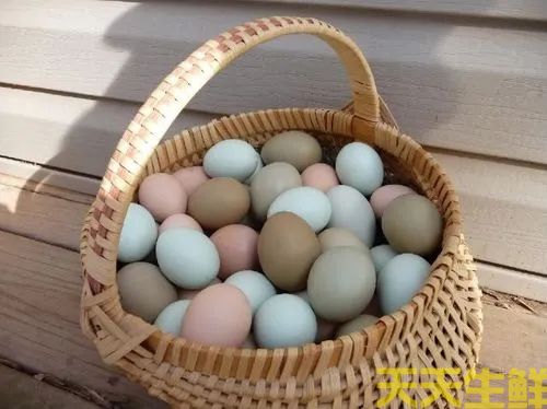 廣州蔬菜配送告訴你常見(jiàn)雞蛋有哪些品種？(圖2)