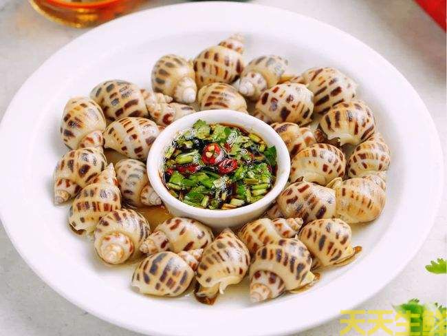 廣州送菜公司分享：常見(jiàn)的海鮮貝類(lèi)有哪些？(圖11)