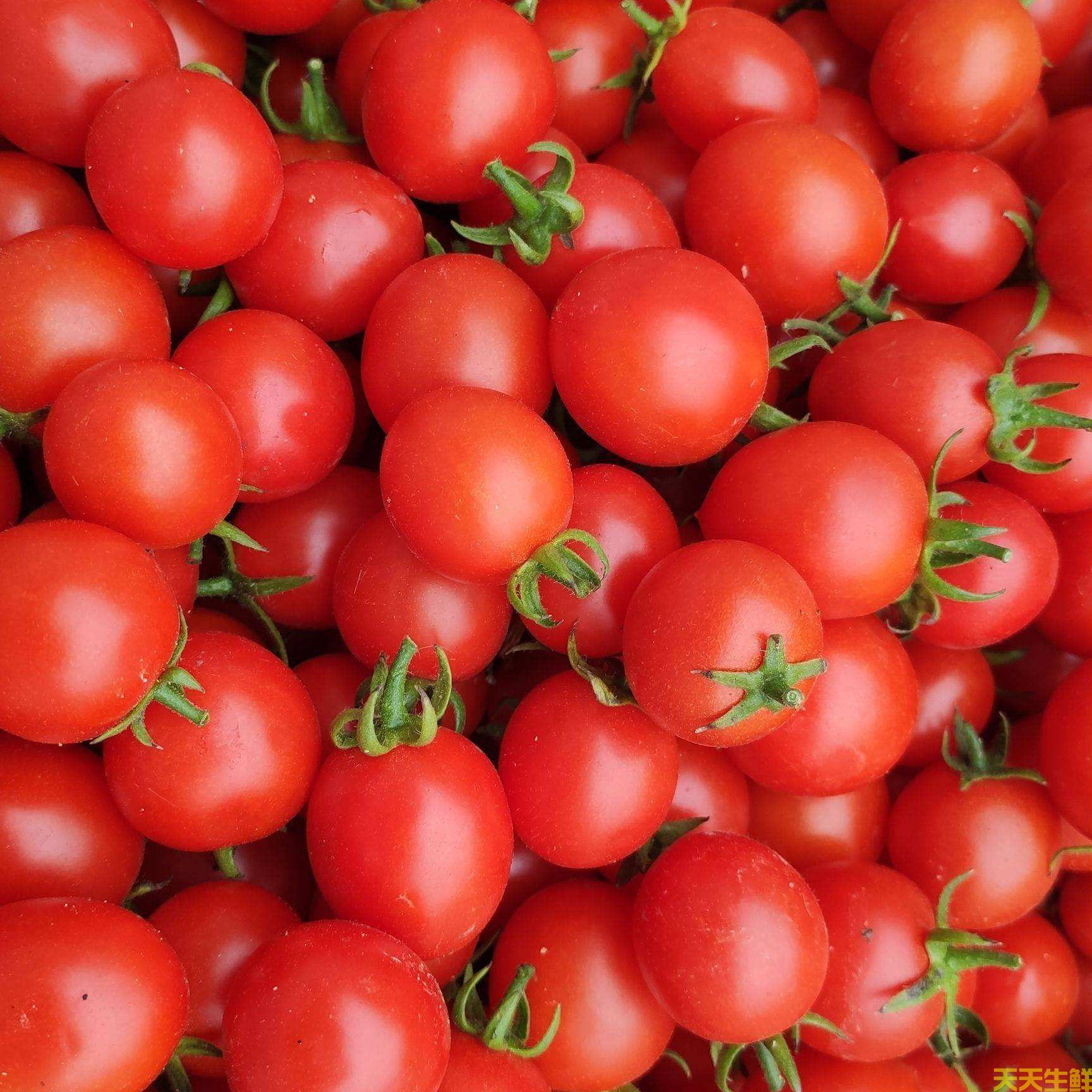 水果配送—圣女果(圖2) 水果配送—圣女果(圖2)