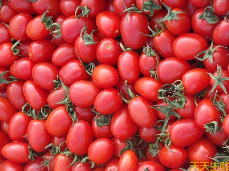 水果配送—圣女果(圖3) 水果配送—圣女果(圖3)