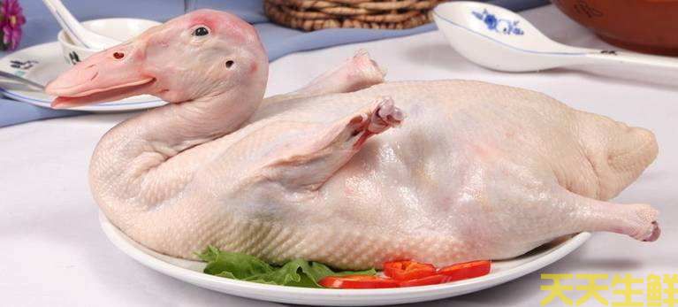 天氣炎熱吃什么好？廣州蔬菜配送公司推薦你8種食材(圖9)