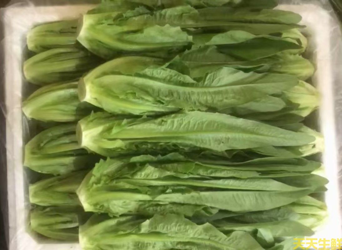 2024年7.8月份蔬菜價(jià)格為什么連續(xù)上漲(圖3) 2024年7.8月份蔬菜價(jià)格為什么連續(xù)上漲(圖3)